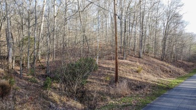 Build Your Dream Lifestyle - Rare Double Lot Opportunity! - photo 21