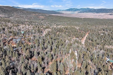 Looking for a great spot for your future Angel Fire home?! This - photo 4