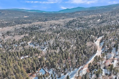Looking for a great spot for your future Angel Fire home?! This - photo 6