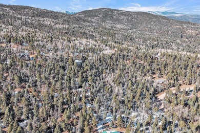 Looking for a great spot for your future Angel Fire home?! This - photo 7