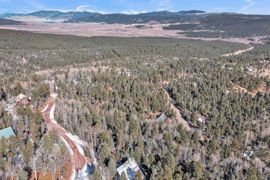Looking for a great spot for your future Angel Fire home?! This - photo 8