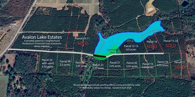Now selling in Avalon Lake Estates - a brand-new 55+ gated - photo 4