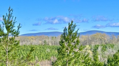 Now selling in Avalon Lake Estates - a brand-new 55+ gated - photo 5