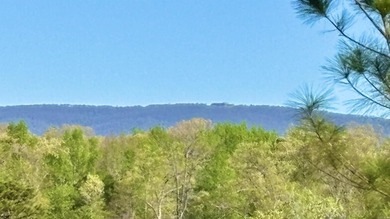 Now selling in Avalon Lake Estates - a brand-new 55+ gated - photo 6