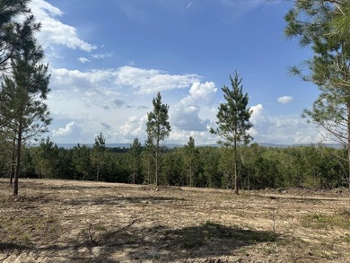 Now selling in Avalon Lake Estates - a brand-new 55+ gated - photo 7