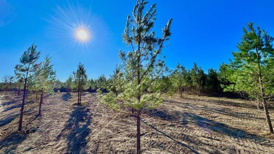 Now selling in Avalon Lake Estates - a brand-new 55+ gated - photo 8