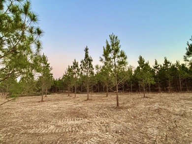 Now selling in Avalon Lake Estates - a brand-new 55+ gated - photo 9