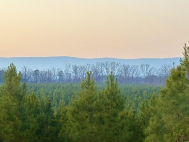 Now selling in Avalon Lake Estates - a brand-new 55+ gated - photo 10