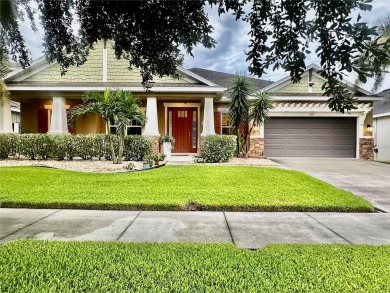 (private lake, pond, creek) Home For Sale in Brandon Florida