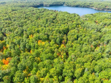 Yawkey Lake Acreage For Sale in Hazelhurst Wisconsin