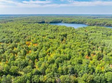 Yawkey Lake Acreage For Sale in Hazelhurst Wisconsin