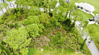 Build your dream home on this oversized corner lot, just 8 - photo 8