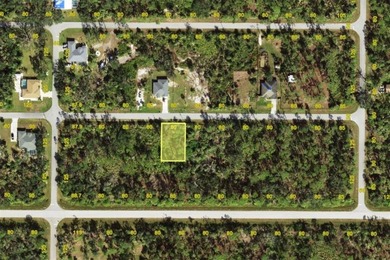 Discover an affordable residential lot in sunny Southwest - photo 3