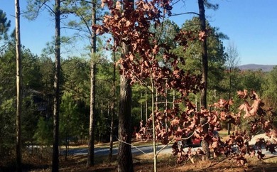 Lake Nottely Lot For Sale in Blairsville Georgia