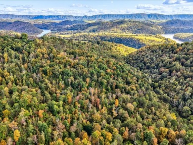 6 Unrestricted Acres with Rolling Terrain and Clinch River Views - photo 25