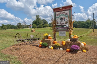Lake Commercial For Sale in Madison, Georgia