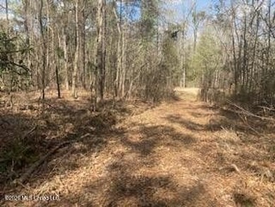 MUST SEE!! 25 AC M/L LAND WITH DENSE TIMBER, PERFECT FOR HUNTING - photo 11
