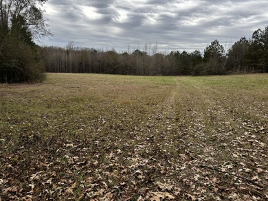 (private lake, pond, coastal) Acreage For Sale in Millport Alabama