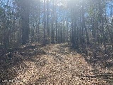 MUST SEE!! 25 AC M/L LAND WITH DENSE TIMBER, PERFECT FOR HUNTING - photo 12