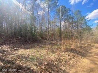 MUST SEE!! 25 AC M/L LAND WITH DENSE TIMBER, PERFECT FOR HUNTING - photo 13