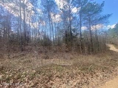 MUST SEE!! 25 AC M/L LAND WITH DENSE TIMBER, PERFECT FOR HUNTING - photo 14