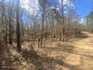 MUST SEE!! 25 AC M/L LAND WITH DENSE TIMBER, PERFECT FOR HUNTING - photo 15