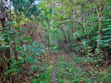6 Unrestricted Acres with Rolling Terrain and Clinch River Views - photo 5