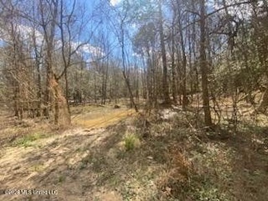 MUST SEE!! 25 AC M/L LAND WITH DENSE TIMBER, PERFECT FOR HUNTING - photo 16