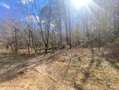 MUST SEE!! 25 AC M/L LAND WITH DENSE TIMBER, PERFECT FOR HUNTING - photo 17