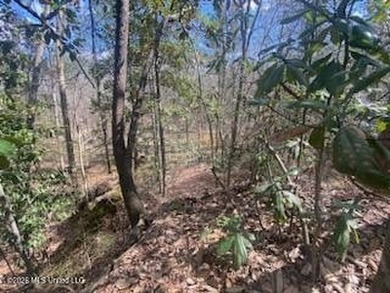 MUST SEE!! 25 AC M/L LAND WITH DENSE TIMBER, PERFECT FOR HUNTING - photo 18