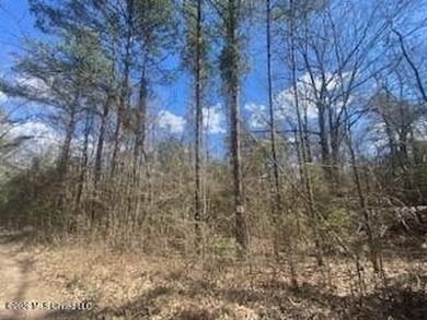 MUST SEE!! 25 AC M/L LAND WITH DENSE TIMBER, PERFECT FOR HUNTING - photo 19