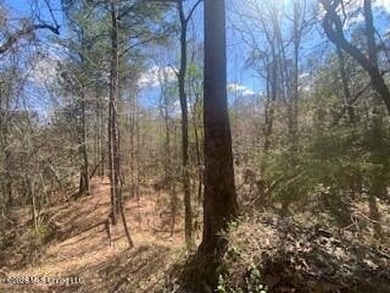 MUST SEE!! 25 AC M/L LAND WITH DENSE TIMBER, PERFECT FOR HUNTING - photo 20