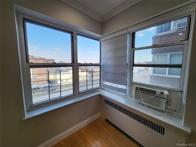 Nicely renovated full-size 2-bedroom Co-Op (this IS NOT a Condo) - photo 20
