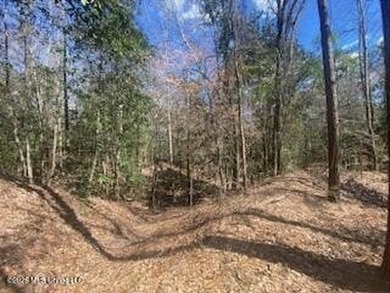MUST SEE!! 25 AC M/L LAND WITH DENSE TIMBER, PERFECT FOR HUNTING - photo 21
