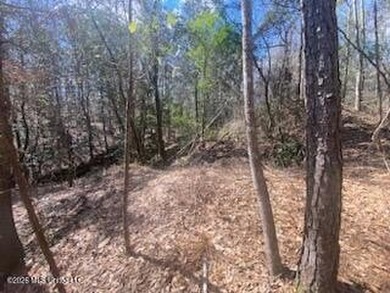 MUST SEE!! 25 AC M/L LAND WITH DENSE TIMBER, PERFECT FOR HUNTING - photo 22