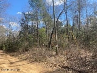 MUST SEE!! 25 AC M/L LAND WITH DENSE TIMBER, PERFECT FOR HUNTING - photo 23