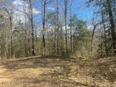 MUST SEE!! 25 AC M/L LAND WITH DENSE TIMBER, PERFECT FOR HUNTING - photo 24