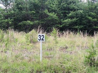 Smith Mountain Lake Lot For Sale in Union Hall Virginia