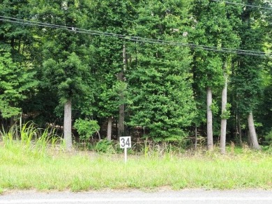 Lake Lot For Sale in Union Hall, Virginia