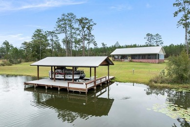 Lake Home For Sale in Donalsonville, Georgia