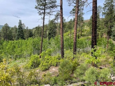 Lake Lot For Sale in Bayfield, Colorado