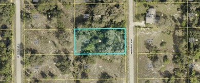 Lehigh Acres Area Lot For Sale in Lehigh Acres Florida
