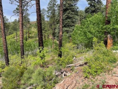 Vallecito Lake Lot For Sale in Bayfield Colorado