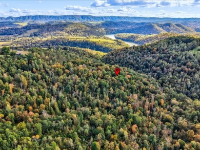 6 Unrestricted Acres with Rolling Terrain and Clinch River Views - photo 11