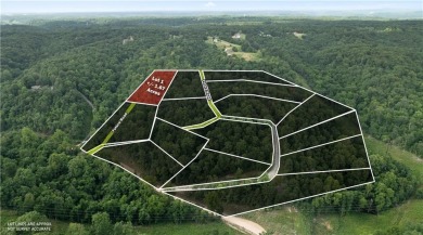 Beaver Lake Lot For Sale in Rogers Arkansas
