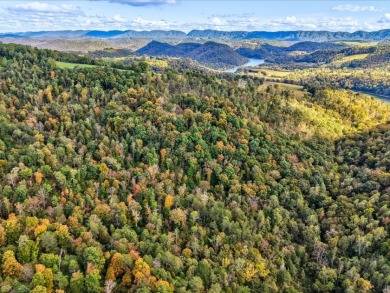 6 Unrestricted Acres with Rolling Terrain and Clinch River Views - photo 24