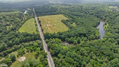 Own the largest contiguous parcel in Scio Township! This 90+ - photo 10