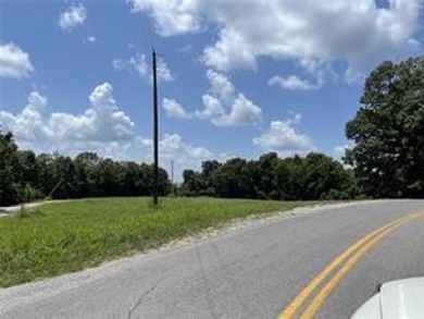 Zoned commercial.  Open, beautiful, cleared land and ready for - Lake Acreage For Sale in Eureka Springs, Arkansas