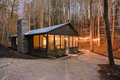 Lake Home For Sale in Morganton, Georgia