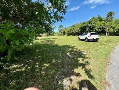 CLOSE TO 1 ACRE!. and CLEARED RECENTLY .78-acre property offers - photo 2